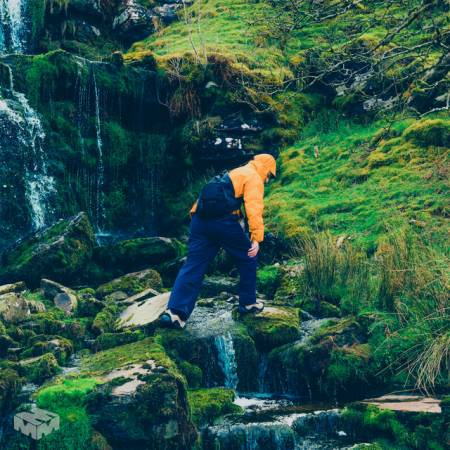 Duskus – Moss